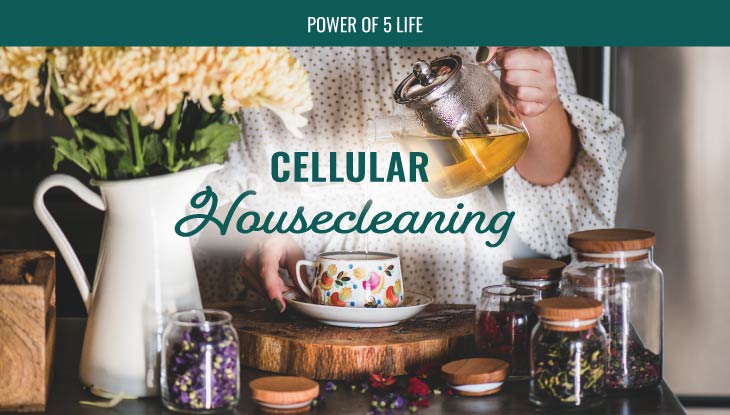 woman making green tea - cellular housecleaning blog post