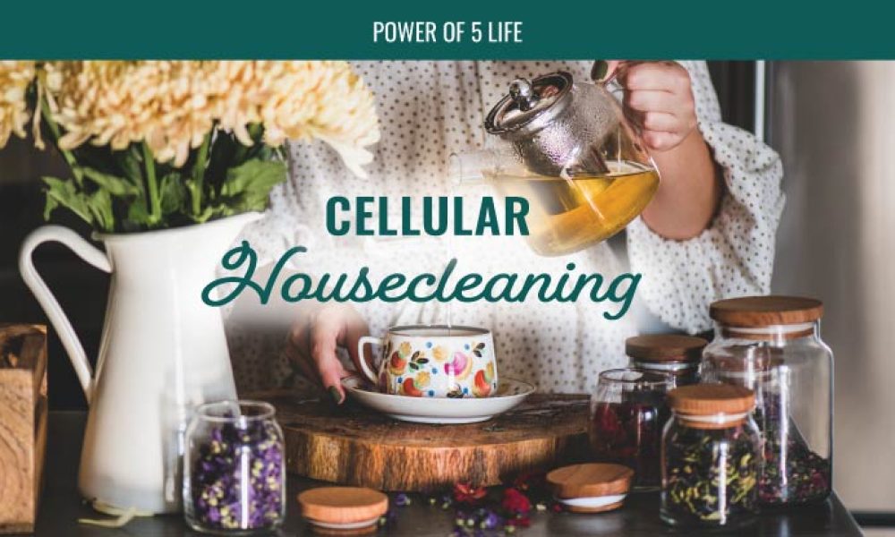 woman making green tea - cellular housecleaning blog post