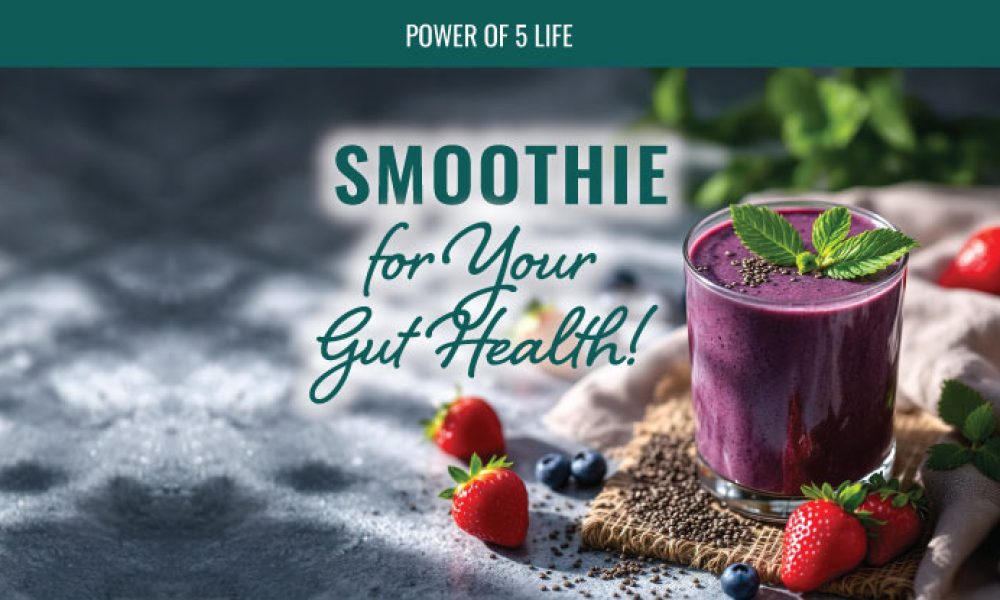 gut health smoothie recipe - pic of berry smoothie