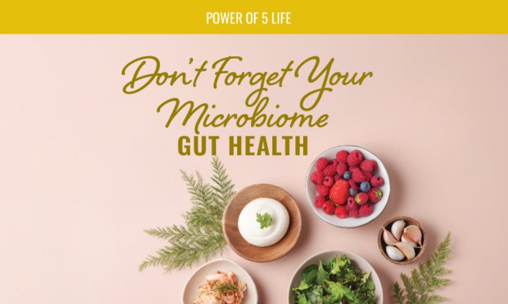 foods that help gut health