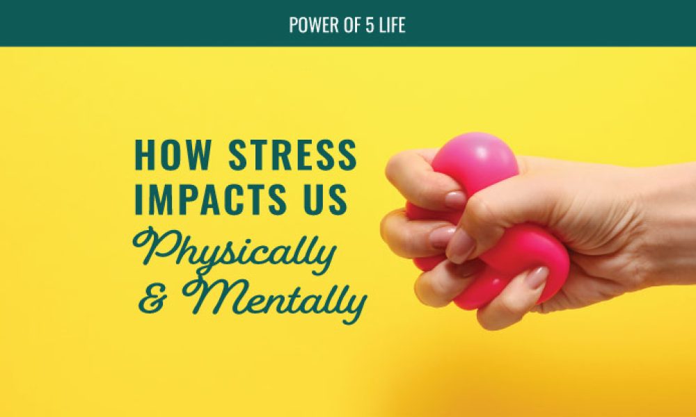 hand squeezing a heart-shaped stress ball for a blog post about how stress affects us