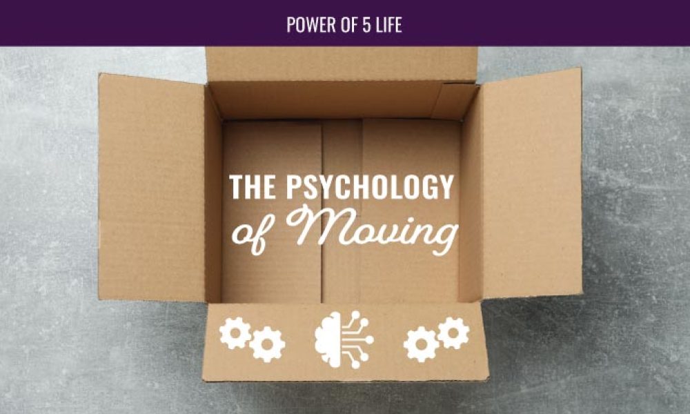 an open and empty moving box for a blog post about the psychology of moving