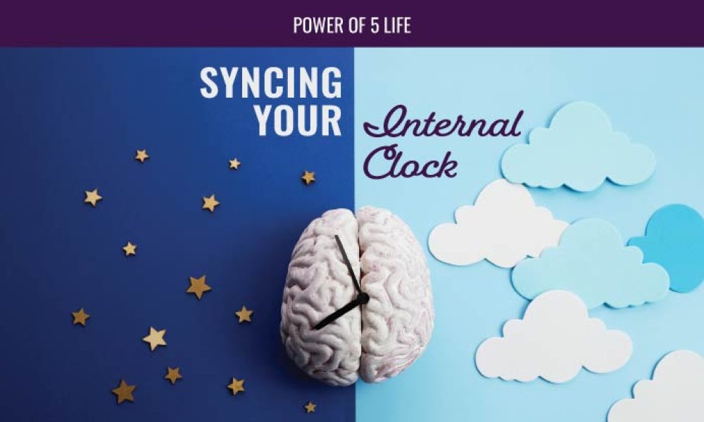 brain, daytime, and nighttime illustration for a blog post about syncing your clock