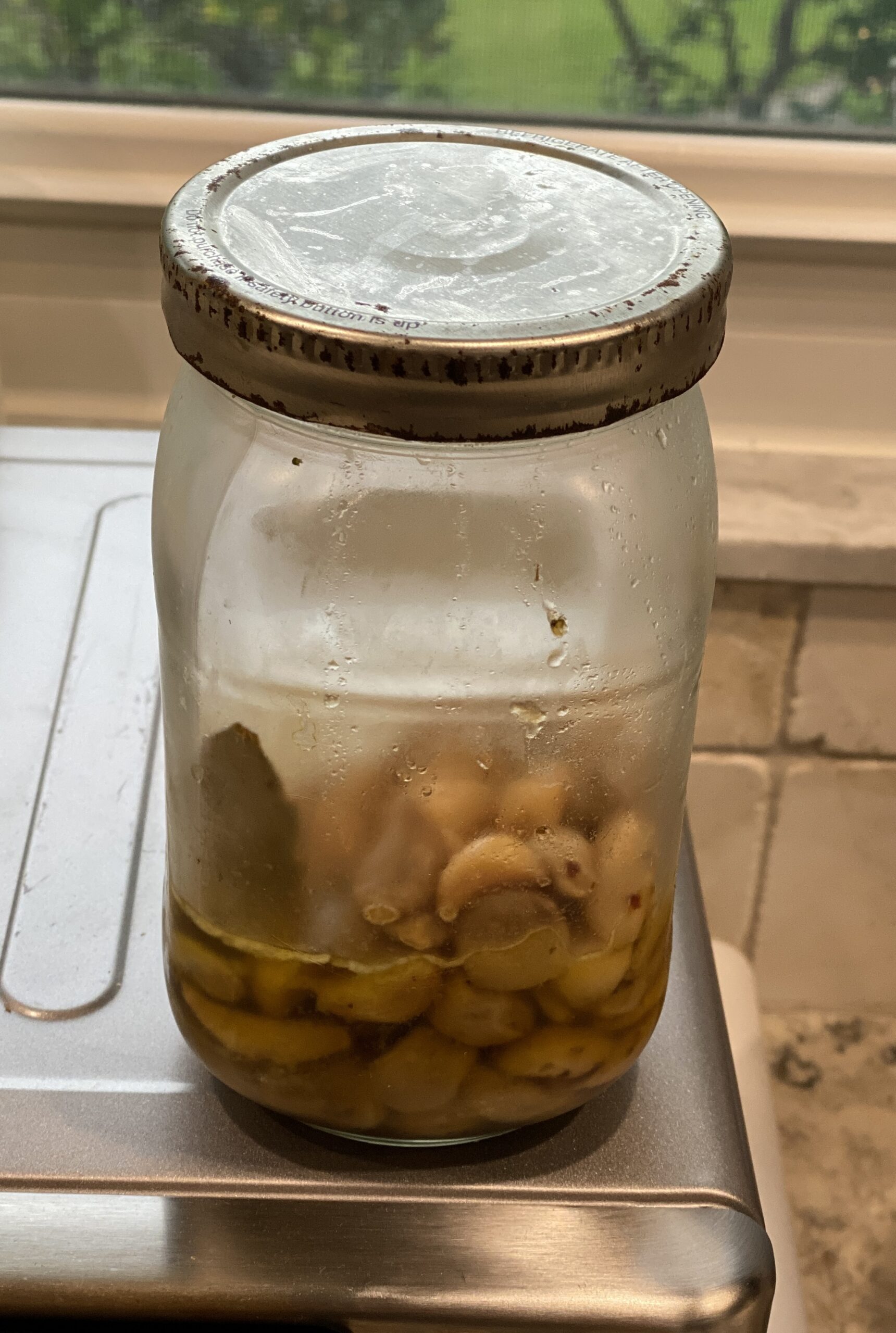 garlic confit