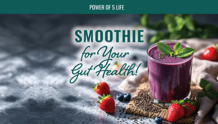 gut health smoothie recipe - pic of berry smoothie