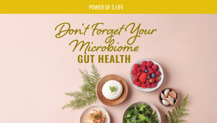foods that help gut health