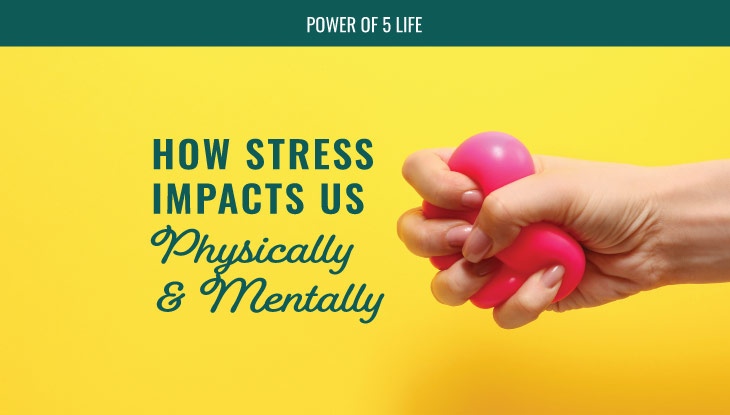 hand squeezing a heart-shaped stress ball for a blog post about how stress affects us