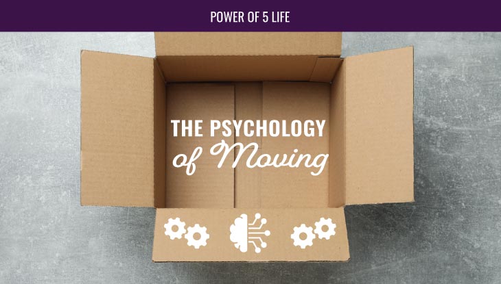 an open and empty moving box for a blog post about the psychology of moving