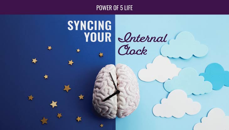 brain, daytime, and nighttime illustration for a blog post about syncing your clock