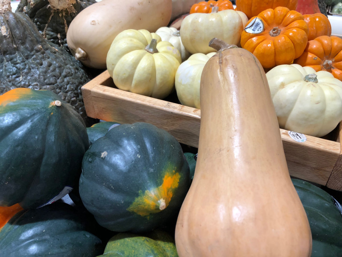 butternut/acorn squash recipes