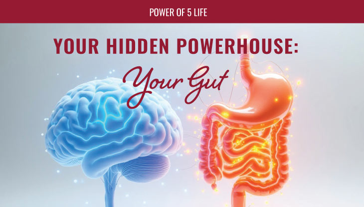 an image of the brain and your gut for a blog post about your microbiome for Gut Health Month